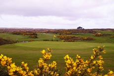 18th Hole at Barna Golf Club