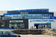 Galway Atlantaquaria, National Aquarium of Ireland